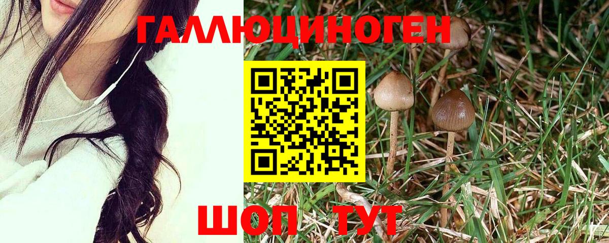 Галлюциногенные грибы GOLDEN TEACHER Рузаевка