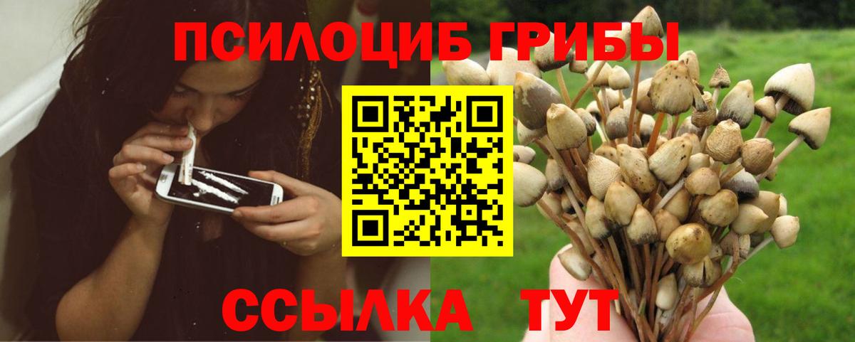Псилоцибиновые грибы GOLDEN TEACHER  Вход с VPN  Рузаевка  Галлюциногенные грибы мухоморы 